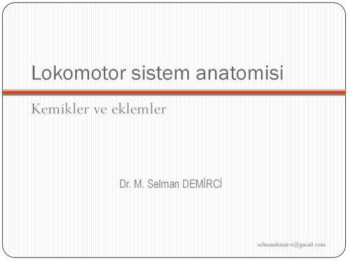 ﻿اسلایدهای آناتومی