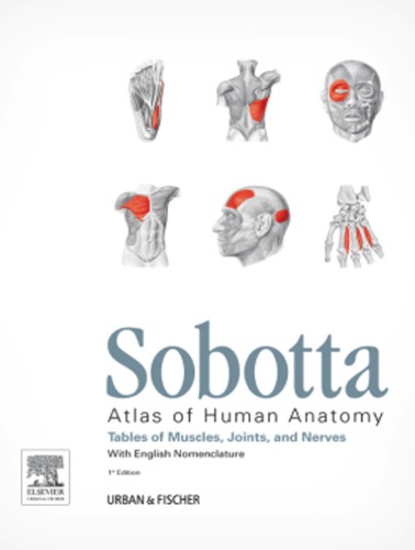 ﻿Sobotta - جداول عضلات، مفاصل و اعصاب