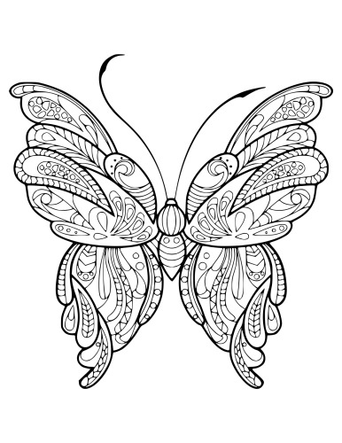 ﻿کتاب رنگ آمیزی دیگر