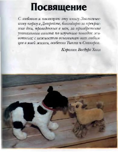 ﻿اسباب بازی های پر شده. ما با دست خود می دوزیم