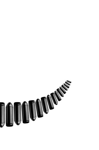 ﻿ایجاد حرکت با دندان: تاریخچه مستند تیپ جورج جکسون