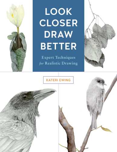 ﻿نزدیک‌تر نگاه کنید، بهتر بکشید: تکنیک‌های خبره برای طراحی واقعی