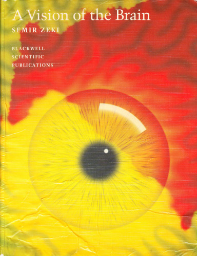 ﻿دیدی از مغز