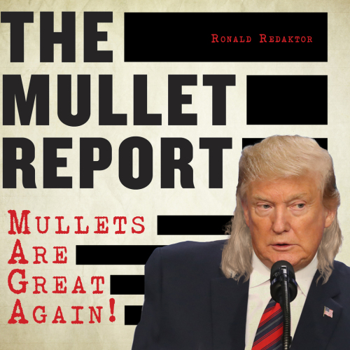 ﻿گزارش The Mullet: کفال ها دوباره عالی هستند!