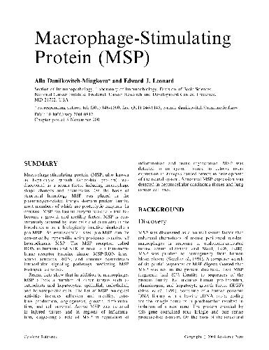 پروتئین تحریک کننده ماکروفاژ