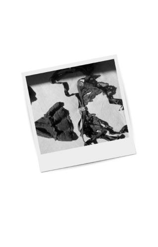 ﻿تاریکی که شما را روشن می کند