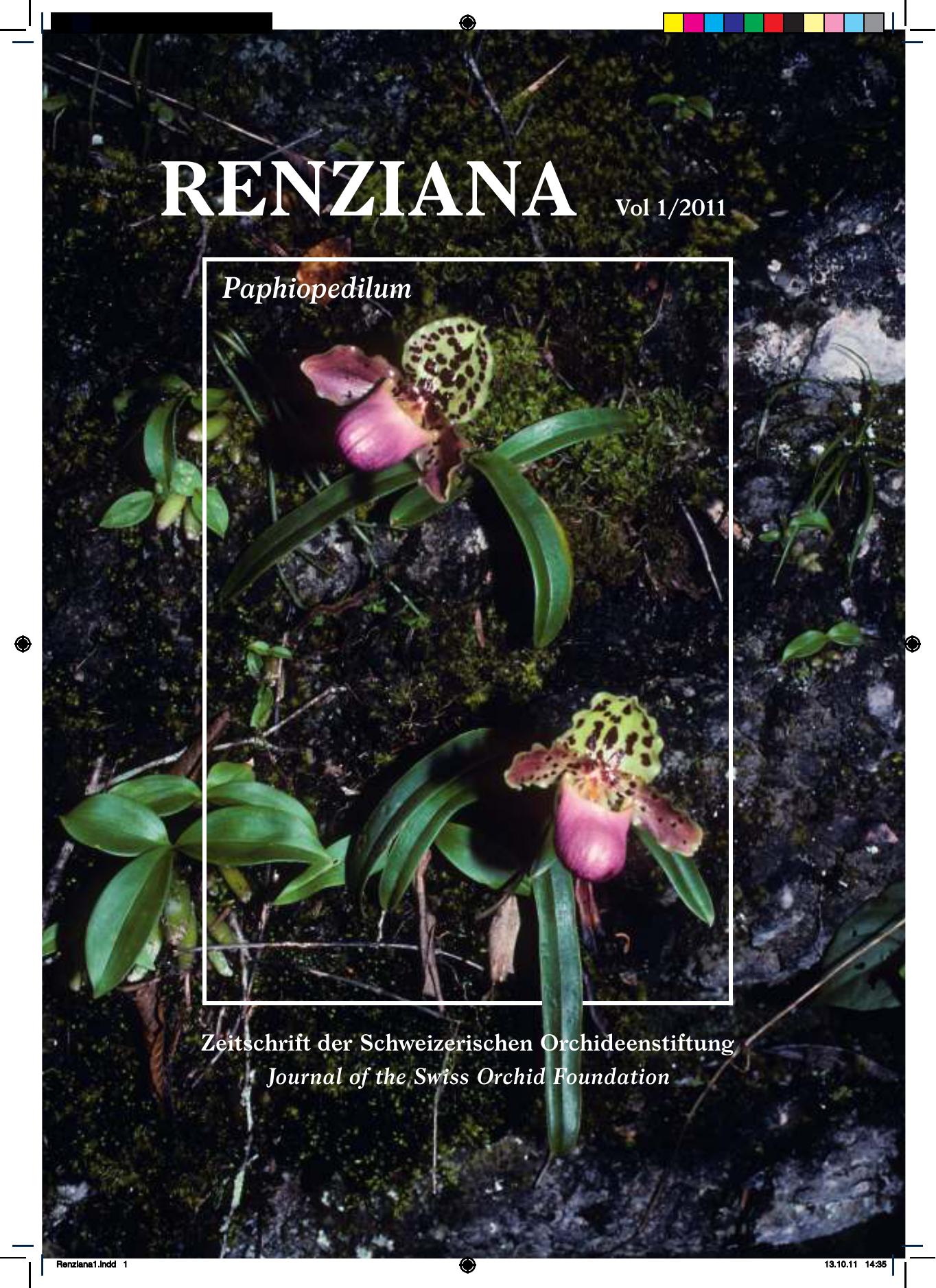 ﻿جنس Paphiopedilum