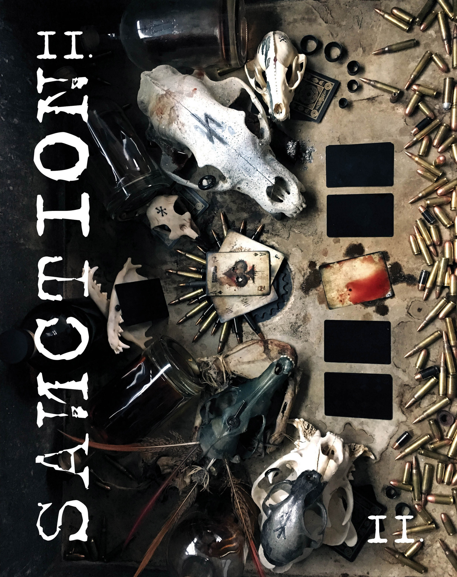 ﻿Sanction II (Sanction The Book Book 2)