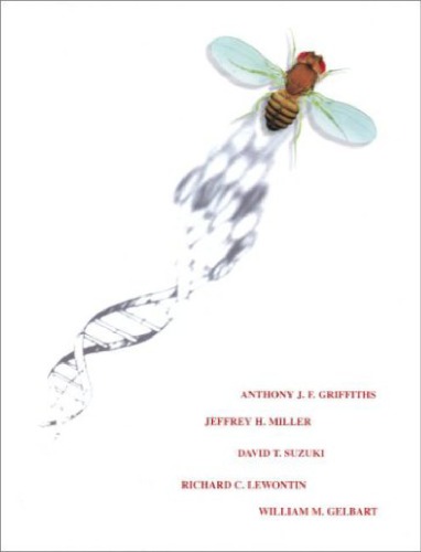 مقدمه ای بر تحلیل ژنتیک و آمپر؛ راه حل های Megamanual