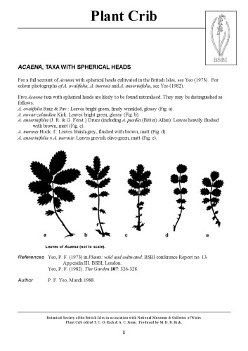 ﻿گهواره شلواری غنی