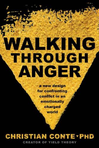 ﻿Walking Through Anger: طرحی جدید برای مقابله با درگیری در جهانی با احساسات