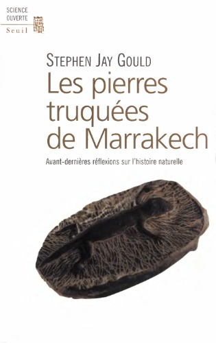 ﻿سنگ های تقلبی مراکش