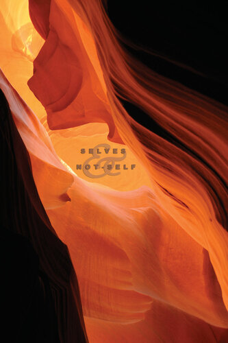 ﻿خود و غیر خود: آموزش بودایی در آناتا