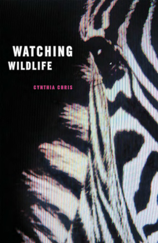 تماشای حیوانات وحشی