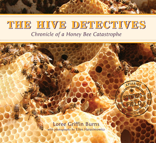 ﻿قوانین واقعیت دوم: راهنمای علاقه مندی های نوجوانان به خواندن کتاب های غیرداستانی: راهنمای علاقه مندی های خواندن غیرداستانی نوجوانان