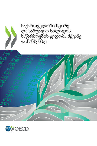 ﻿دسترسی به منابع مالی سبز برای شرکت های کوچک و متوسط ​​در گرجستان