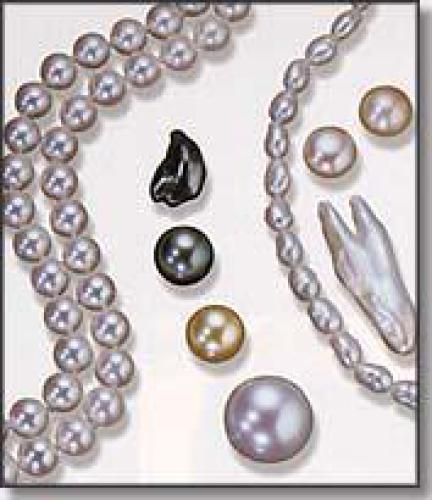 ﻿معرفی روبی برای برنامه نویسان پرل