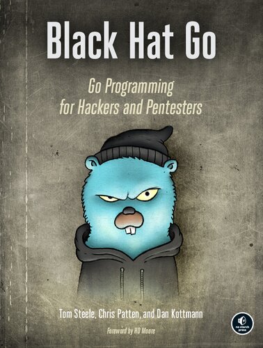 ﻿Black Hat Go: Go Programming for Hackers and Pentesters