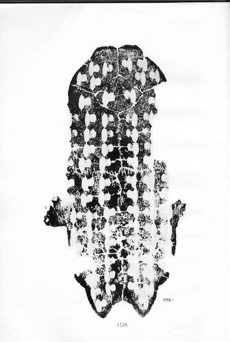 ﻿甲骨文合集4 Oracle Bone Script Collection Vol.4