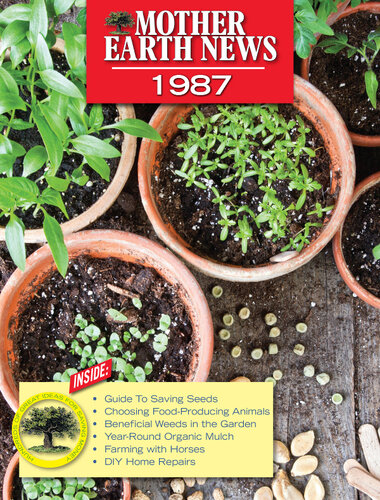 ﻿اخبار مادر زمین 1987