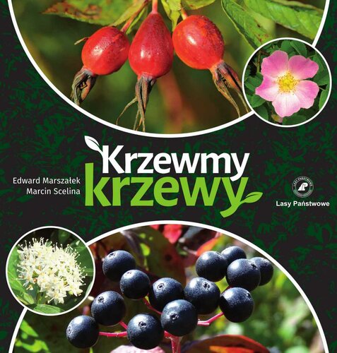 ﻿درختچه ها