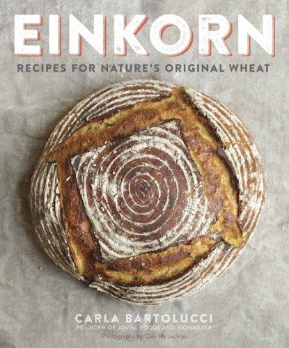 ﻿Einkorn: دستور العمل برای گندم اصلی طبیعت