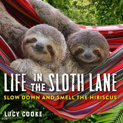 ﻿زندگی در Sloth Lane سرعت خود را کم کنید و هیبیسکوس را بو کنید