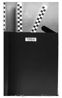 ﻿سرزمین نقاب های پرواز: هنر و فرهنگ در بورکینافاسو