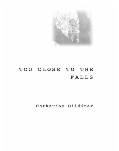 ﻿خیلی نزدیک به آبشار