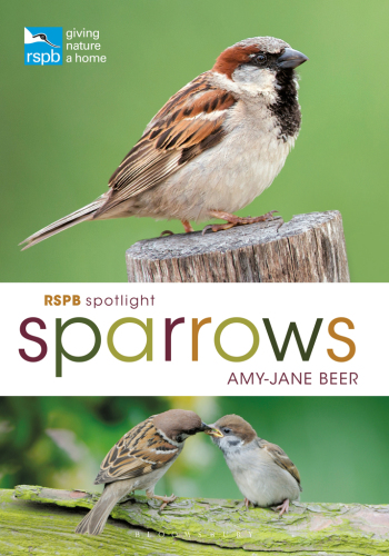 ﻿RSPB Spotlight Sparrows