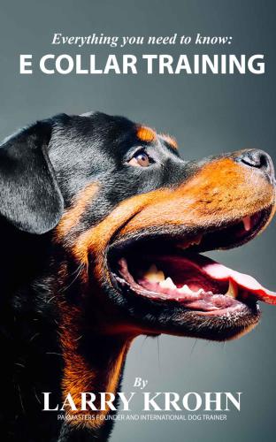 ﻿هر آنچه را که باید در مورد آموزش یقه E بدانید