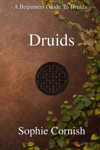 ﻿Druids: راهنمای مبتدیان برای درویدها