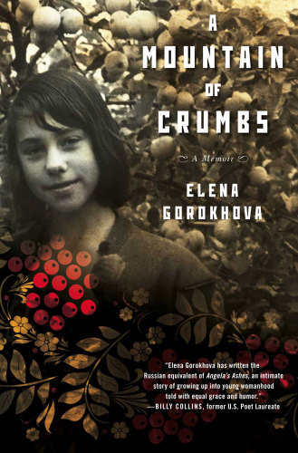 ﻿کوهی از خرده ها: خاطره