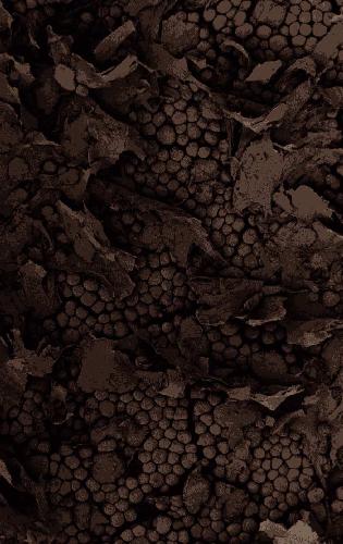 پروتکل های سلول های بنیادی خونساز