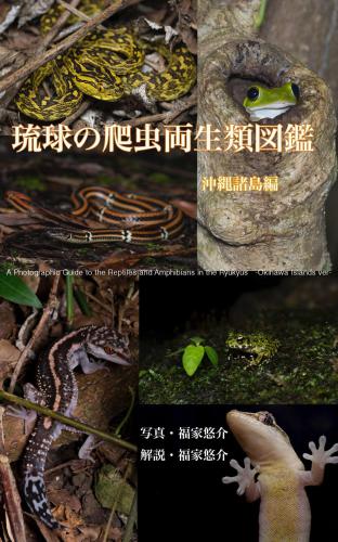 ﻿خزندگان و دوزیستان ریوکیو: جزایر اوکیناوا نسخه: لیو کیو نوپا چونگ لیانگ شنگ لی تو جیان -چونگ جو ژو دائو بین