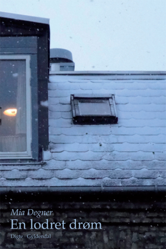 ﻿رویای عمودی: اشعار