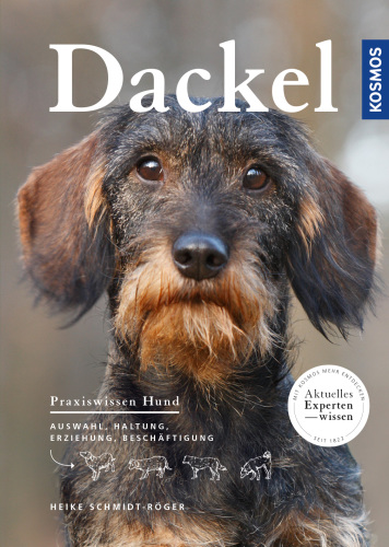 ﻿پاکوتاه، سگ پاکوتاه