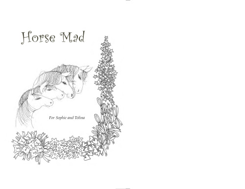 ﻿اسب دیوانه