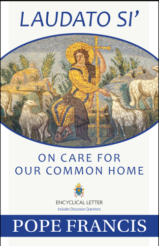 ﻿Laudato si': در مورد مراقبت از خانه مشترک ما: نامه کتاب