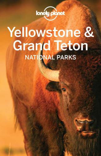 ﻿پارک های ملی Lonely Planet Yellowstone و Grand Teton