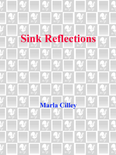 ﻿انعکاس سینک