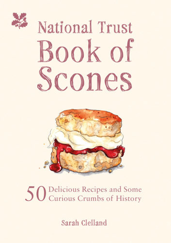 ﻿کتاب اعتماد ملی از Scones