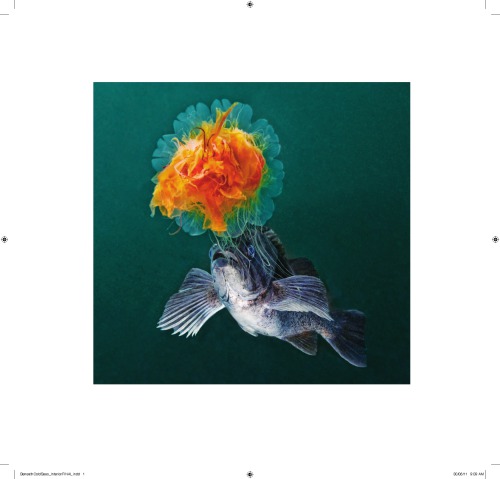 ﻿زیر دریاهای سرد: بیابان زیر آب شمال غربی اقیانوس آرام