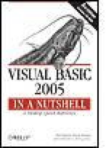 ویژوال بیسیک 2005: به طور خلاصه