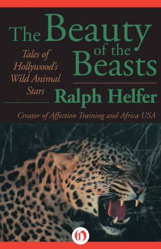 ﻿زیبایی جانوران