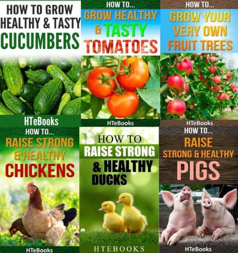 ﻿کشاورزی ، زراعت ، دامپروری ، کشاورزی پایدار ، کشاورزی گرمسیری ، حیوانات مزرعه ای ، سبزیجات ، درختان میوه ، مرغ ، ... گوجه فرنگی ، خیار (روش کشاورزی)