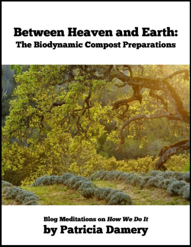 ﻿بین بهشت ​​و زمین