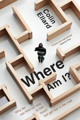 ﻿من کجا هستم ؟: چرا ما می توانیم ماه خود را پیدا کنیم اما در بازار گم شویم