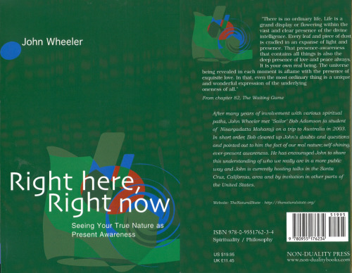 ﻿همین جا، همین الان: دیدن ماهیت واقعی خود به عنوان آگاهی فعلی