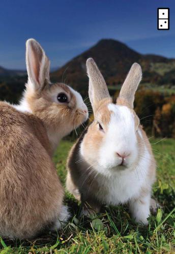 ﻿سلسله مراتب مسری بودن زارلا: علم، طراحی و مهندسی ایده های مسری